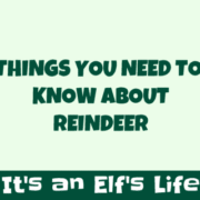 Things to Know About Reindeer Things to Know About Reindeer
