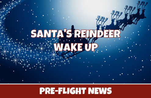 Reindeer Wake Up