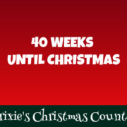 031922 40 Weeks Until Christmas