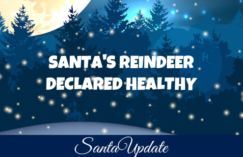 Santa's Reindeer