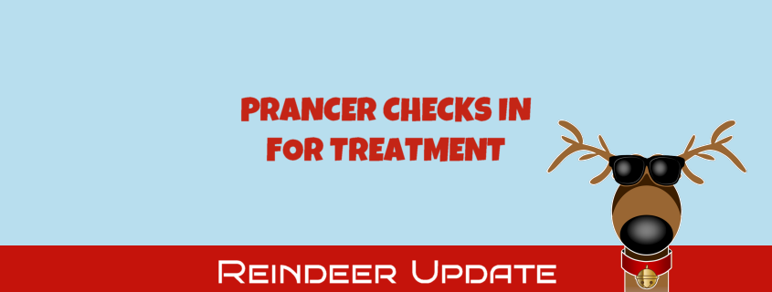 Prancer Checks In