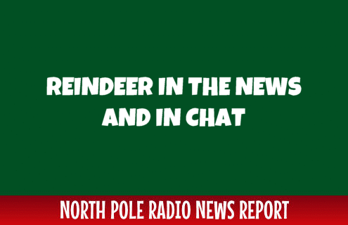 Reindeer in the News