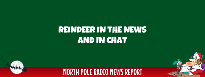 Reindeer in the News