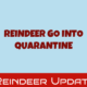 Reindeer in Quarantine