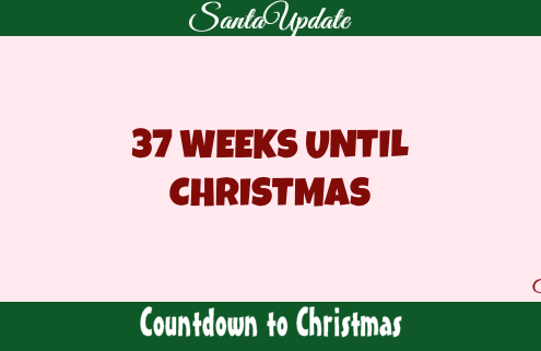 37 Weeks Until Christmas