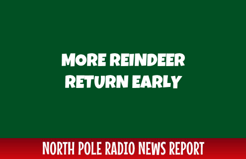 Reindeer and Sleighs