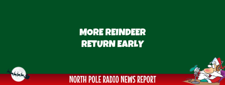 Reindeer and Sleighs