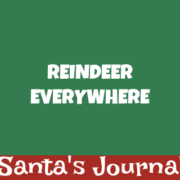 Reindeer Reindeer