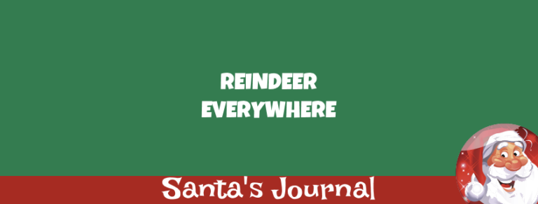 Reindeer