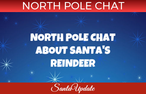 North Pole Chat about Reindeer