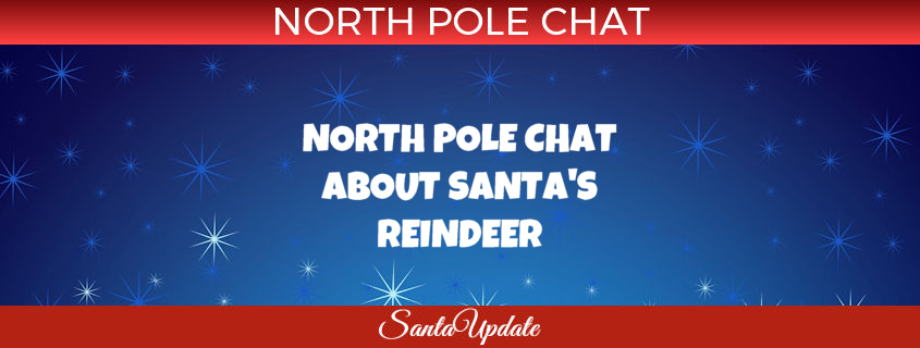 North Pole Chat about Reindeer