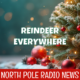 Reindeer Everywhere